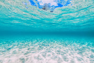 Tropical crystal sea with sandy bottom underwater in Hawaii