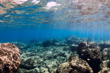 Underwater scene with corals and sun rays. Tropical ocean