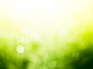 Fototapeta premium green bokeh background,green bokeh.green bokeh abstract.