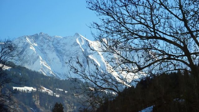 Swiss alps peaking out from behind trees as view from Glacier Express train route