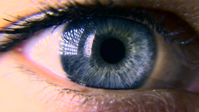Close-up. Macro Blue Female Human Eye. Pupil Cornea Iris Eyeball Eyelashes. Blink Open Closed. 30p Slow motion 1/2 Real Time Speed 60p