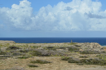 Desert meets ocean in Aruba