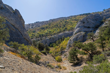 A small gorge in the Crimean mountains.