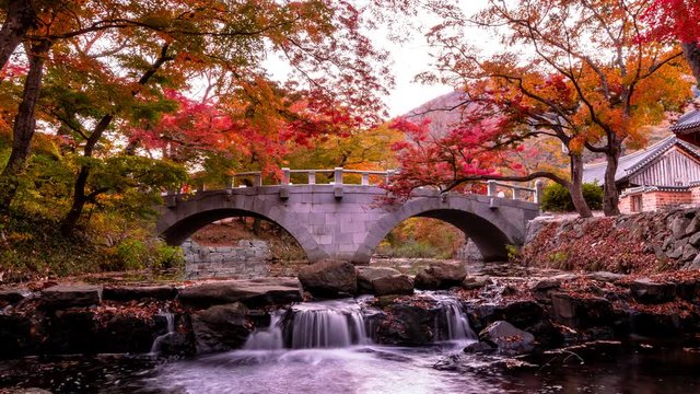 Beautiful autumn in the valley of Gochang Seonunsa temple
