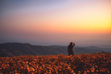 A woman standing among beautiful flower garden on the top of the hill before sunrise