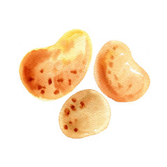 Potatoes painted with watercolor on a white background. A colored sketch of vegetables. Farm...