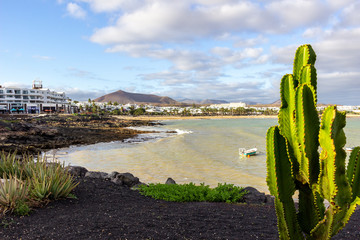 The coastline of Costa Teguise on Canary island Lanzarote with cactus in the foreground and Costa Teguise in the background