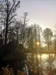 forest and beautiful landscape photo with nice light colors and sense of peace from god creation