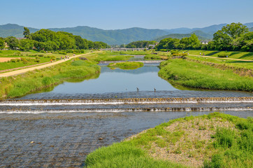京都の賀茂川