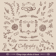 Decorative swirls or scrolls, vintage elements, flourishes, labels and dividers,. Retro vector illustration
