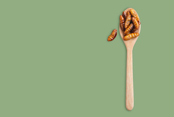 Worm insects or Chrysalis Silkworm in a wooden spoon on green background. The concept of protein food sources from insects. It is a good source of protein, vitamin, and fiber.
