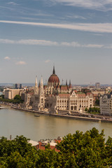 Fototapeta premium River Danube in Budapest Hungary, parliament building and trees.