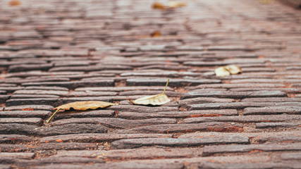 selective focused Cobblestone pavement.Vintage stone street road pavement texture.pattern of stone block paving.Granite cobble stoned pavement background. old cobblestone pavement