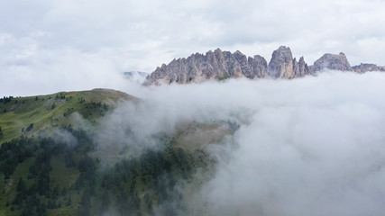 Aerial view of pine spruce forest on green meadow with low clouds and fog. Mountain range, Dolomites, South Tyrol, Italy.