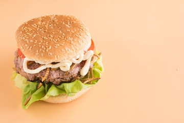 Burger of endible worms  with tomato and lettuce