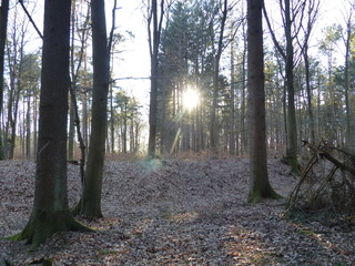 Limeswall und Graben mit tiefstehender Sonne beim Kastell Anhausen im Westerwald