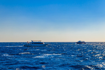 Fototapeta premium White yachts sailing in Red sea, Egypt