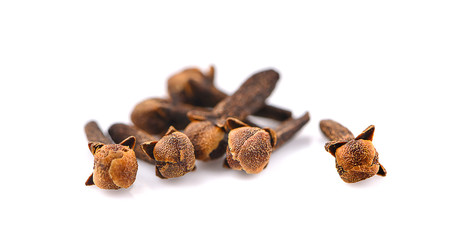 dry cloves an isolated on white background