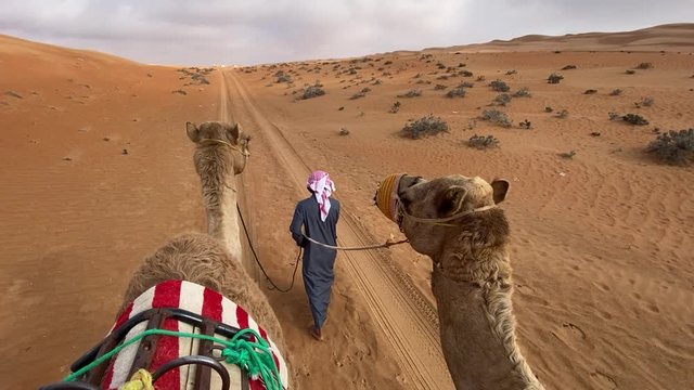 Camel riding in Wahiba Sands desert of Sultanate of Oman