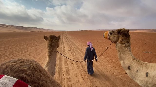 Camel riding in Wahiba Sands desert of Sultanate of Oman