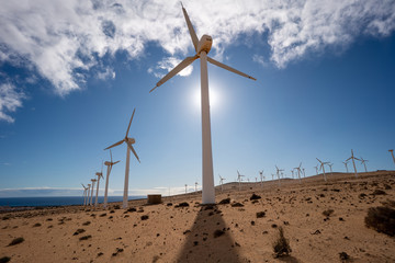 Electric wind turbine generators in the desert