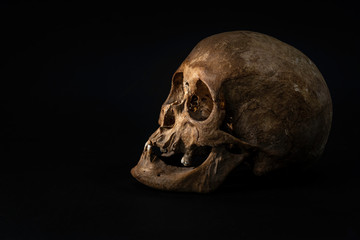 Obraz premium Schädel Skull Schwarz