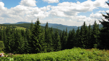 view of the Carpathian mountains on a sunny summer day from the top of Goverla Mountain, Carpathians, Ukraine