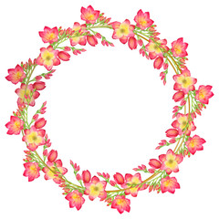 wreath with green leaves and red freesia flower in a gold round frame. Watercolor floral illustration
