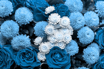 Bouquet of roses and chrysanthemums close up. Beautiful blue flower background. Floral backdrop. 