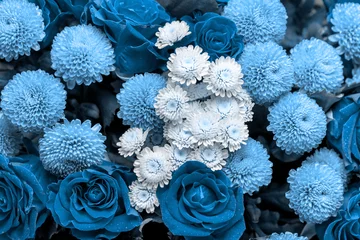  Bouquet of roses and chrysanthemums close up. Beautiful blue flower background. Floral backdrop.  © ruslan_khismatov