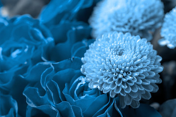 Bouquet of roses and chrysanthemums close up. Beautiful blue flower background. Floral backdrop. 
