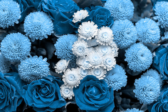 Blue Flower Arrangement Images – Browse 2,002 Stock Photos, Vectors, and  Video | Adobe Stock