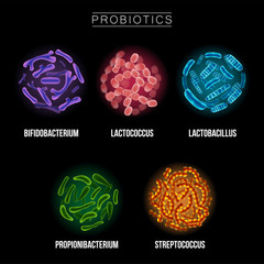 Collection of Different Probiotic Microorganisms Illustrations. Good bacteria and microorganisms for human health. Microscopic probiotics, good bacterial flora.