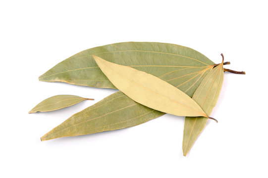 Dried Cinnamomum Tamala (Indian Bay Leaf) Leaves Isolated on White Background