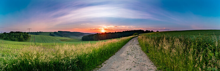 Panoramic view of golden wheat field by summertime © luchschenF