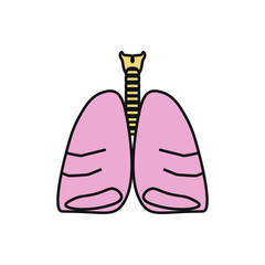 vector icon anatomy of lungs and trachea