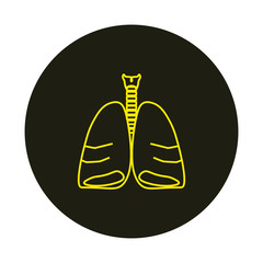 vector icon anatomy of lungs and trachea