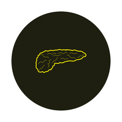 pancreas shaped anatomical vector icon