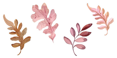 Watercolor illustration hand painting forest leaves flowers seeds winter autumn fall wrapping fabric wallpaper textile bed linen poster decor postcard