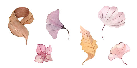 Watercolor illustration hand painting forest leaves flowers seeds winter autumn fall wrapping fabric wallpaper textile bed linen poster decor postcard