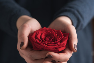 young female hands holding red rose