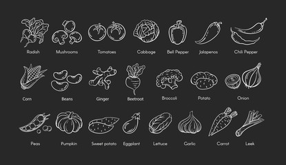 Hand drawn vegetable set vector illustration. White line contour doodle vegetables, eggplant and garlic, corn and mushroom doodle icon with label on white background for restaurant menu retro design