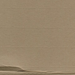 Close up grainy decorative light brown vintage rough sheet of carton. Cardboard paper texture blank background. Brown color old pattern empty papercraft surface. Recycled ecology friendly material.