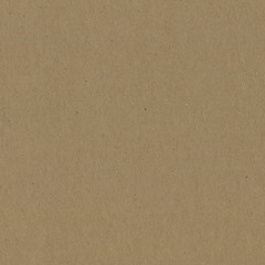 Fototapeta na wymiar Close up grainy decorative light brown vintage rough sheet of carton. Cardboard paper texture blank background. Brown color old pattern empty papercraft surface. Recycled ecology friendly material.