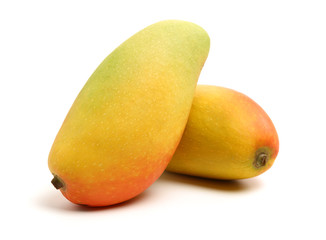 Mango on a white background