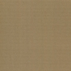 Close up grainy decorative light brown vintage rough sheet of carton. Cardboard paper texture blank background. Brown color old pattern empty papercraft surface. Recycled ecology friendly material.