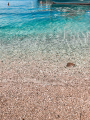 Shells on the beach
