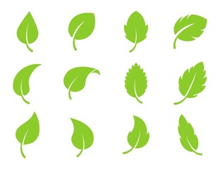 Leaf flat icon set. Eco green logo. Vector flat leaves shapes. Bio plant leaves. Floral forest vegan icons. Mint or tea leaves