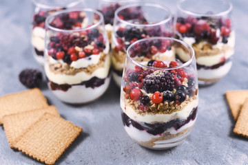 Homemade layered red berry fruit, cookie crumbs and cheesecake cream dessert in glasses