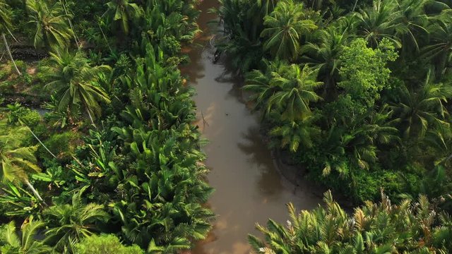 La jungle et une rivi&egrave;re en vue verticale au sud du Vietnam vers Ben Tre